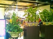 usãsbcFA _ `[{̓eʐ^1