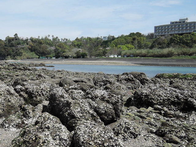 ���z������_���z������