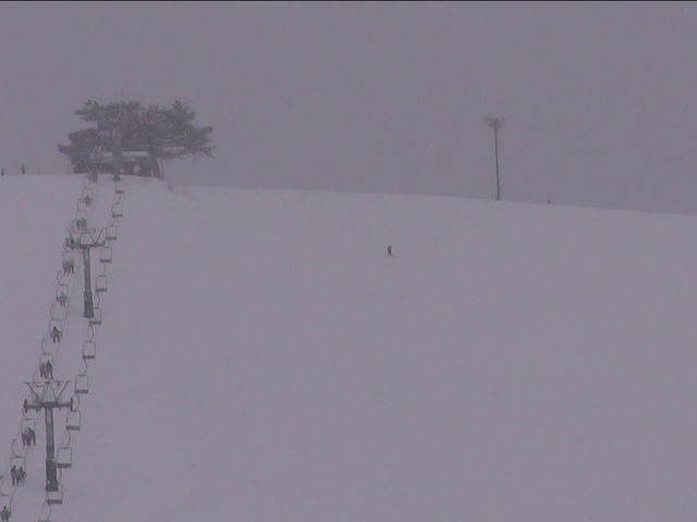 Ђ݂񂲂̐_獂AbvȂ׃Qf̓eʐ^1