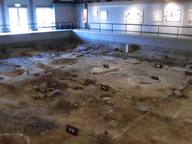 �C_���e�ِՓW����