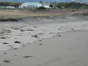 taka̓yK͌inj̓eʐ^1