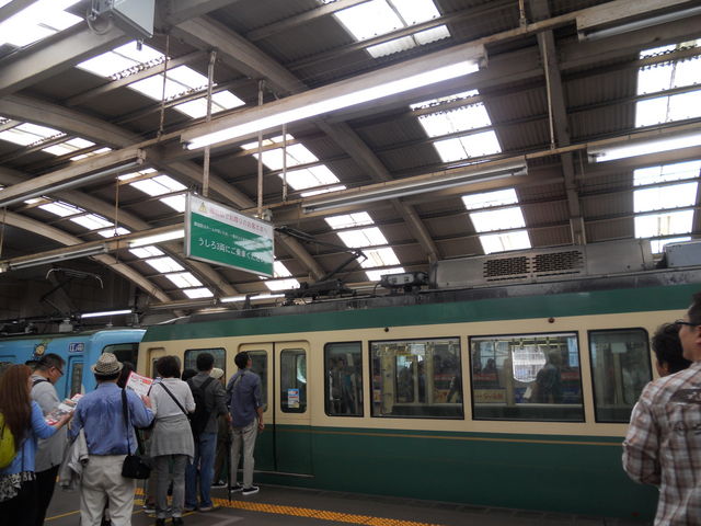 ����w�i�]�m�d�j_����w