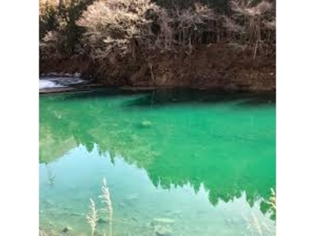 �݂ǂ��_�݂ǂ��