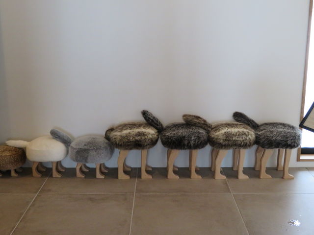 yosshỹee JtF̓eʐ^6