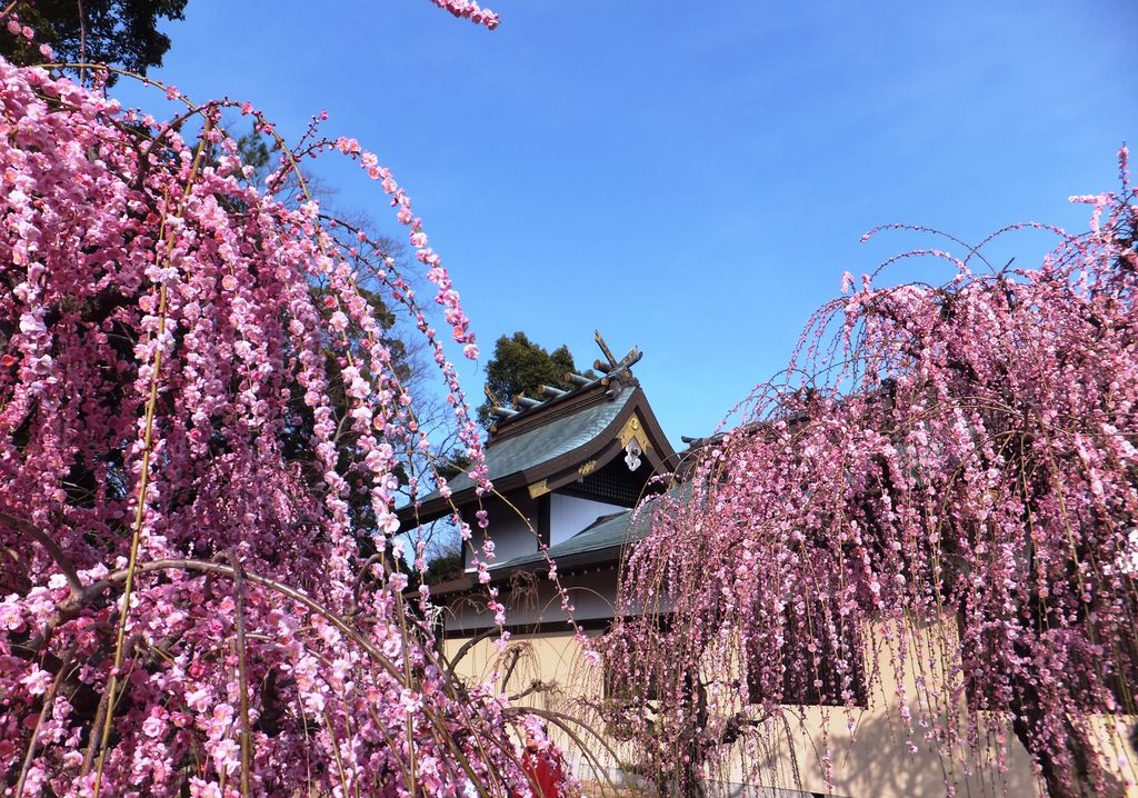 結城神社 アクセス 営業時間 料金情報 じゃらんnet