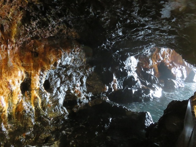 A̒łBł񂹂g唗́B_Oi