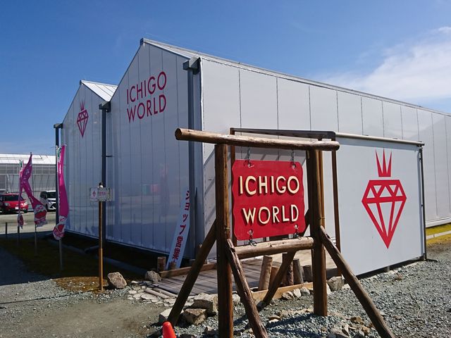 Vbv_MIGAKI FARM(ICHIGO WORLD)