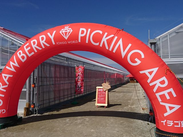 䕎���t�Q�[�g_MIGAKI FARM(��ICHIGO WORLD)