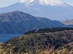 R^̃AlXgc@^[pCNւ̓eʐ^1