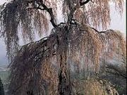 cJ擙X͂̏Zl̛Ĥ̂̓eʐ^1