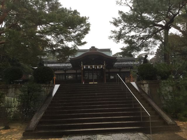 �V���g�_�{