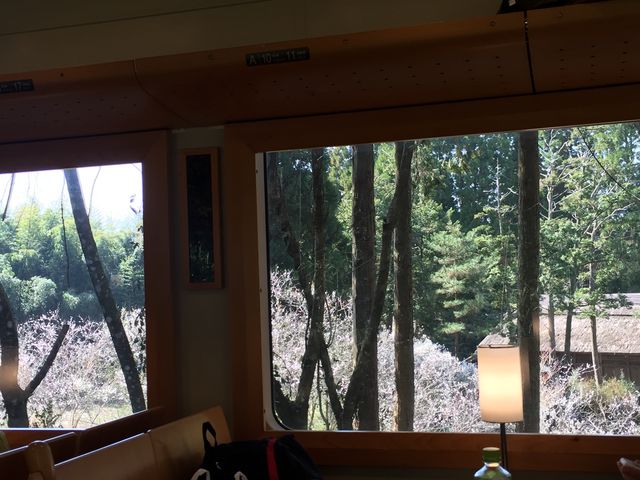 �ԑ�����̏\�������_�ЁB_���ܐ�S��