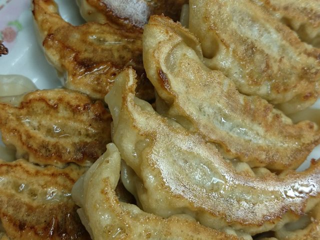 yoshimraLq̉ZX̓eʐ^1