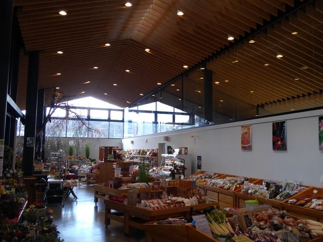 �������Ȍ����ł�_���̉w �뉀�̋� �ۓ�