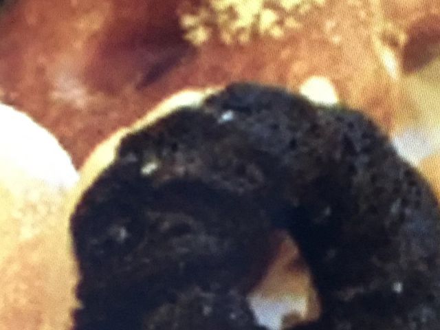 ~X^[h[ic_~X^[h[icVwOVbv