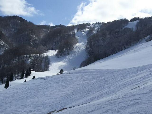 ���i�ł�_���_��X�L�[��