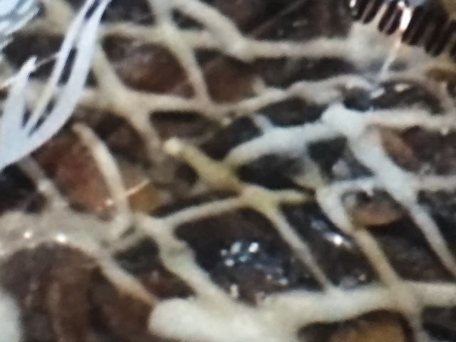 hg[R[q[_hg[R[q[Vbv _˂񂿂XiGOURMET COFFEE DOUTORj