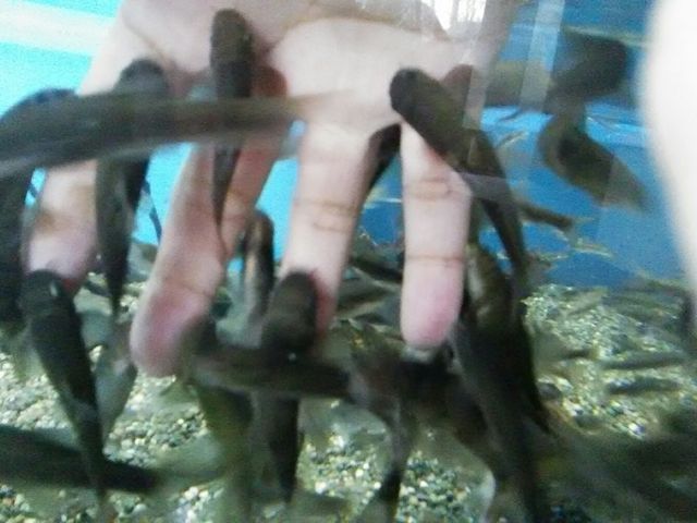 hN^[tBbV̌R[i_Ȗ،Ȃ퐅V