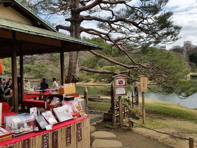 ���y�Y����_�Z�`���@���㒃��