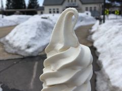 say����̃t�����h���[�x�A�ւ̓��e�ʐ^1