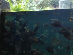 l̓Ȗ،Ȃ퐅Vւ̓eʐ^6