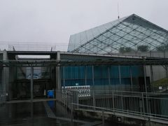 l̓Ȗ،Ȃ퐅Vւ̓eʐ^8