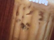 ̃hg[R[q[VbvPH݂䂫ʂX̓eʐ^1