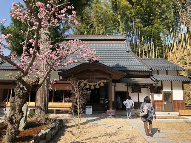 �{�a_�����@