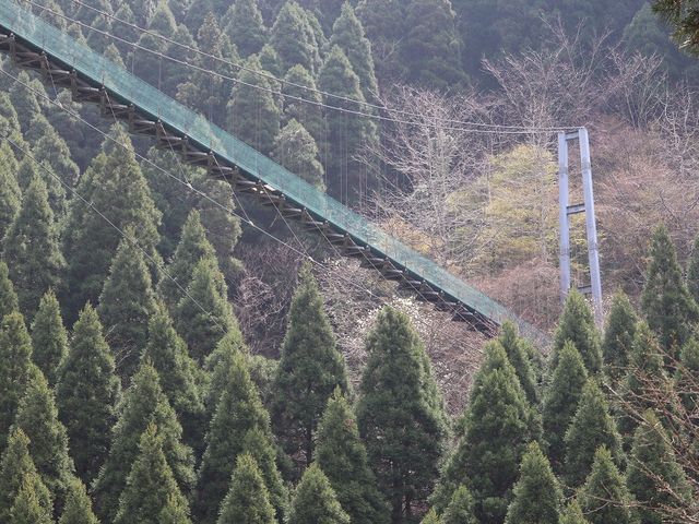 �鋫�E�[�̗��k������