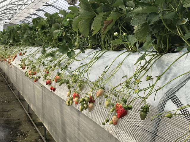 �̂�₷���ʒu�ɂ�����������܂�_�A�N�g�������t�@�[��