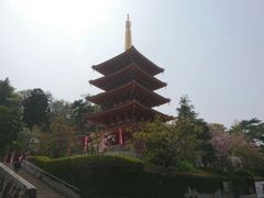 菊ちゃんさんの高幡不動尊　金剛寺への投稿写真1