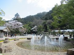 岐阜公園のサクラの口コミ一覧 じゃらんnet