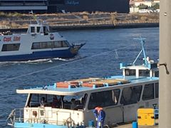 rapid̓VێRnDւ̓eʐ^1