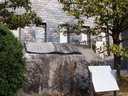 ���ڂ炳��̔m�ԋ��(���񂶂��ّO)�̓��e�ʐ^1