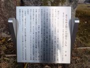 ���ڂ炳��̔m�ԋ��(���񂶂��ّO)�̓��e�ʐ^2