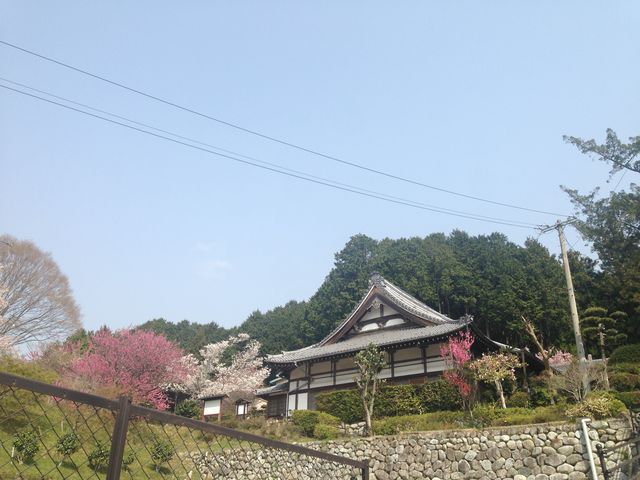 ������傳��̗��}���i�O�d������s�j�̓��e�ʐ^1