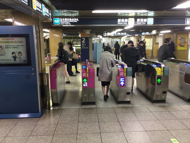 ���{��_�������g�������� ���{���w