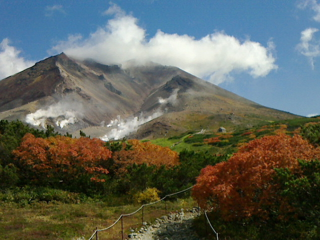 高山植物 大雪山の自然 高山植物のお花畑が広がる北海道・大雪山 - YouTube