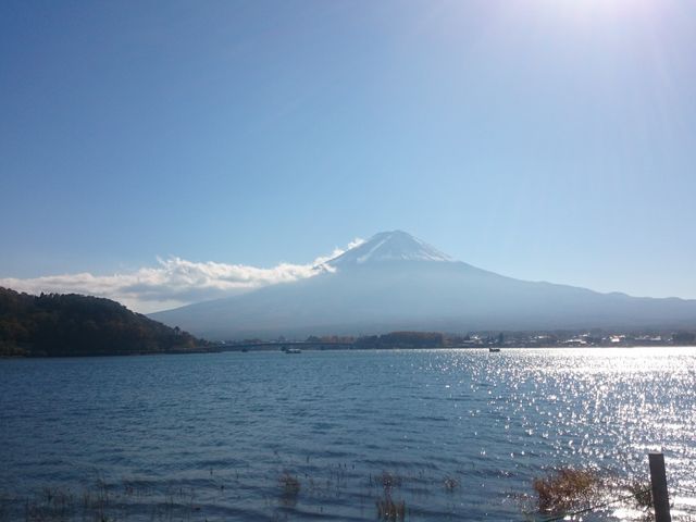 z[߂̌Ί݂璭߂钋Ԃ̕xmR_͌Ή~`z[