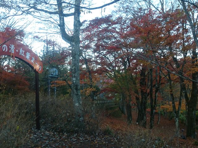 �g�t�Ղ肪�J�Â���Ă܂���_�R���� �[�Ă��̏��W�]��