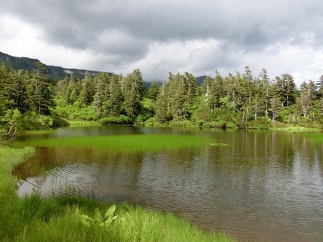 ��ፂ�����Q�@_��ፂ�����Q