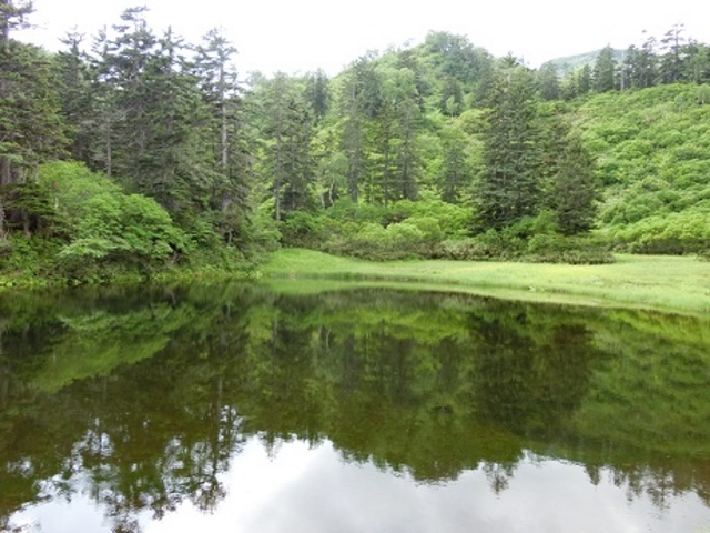 ��ፂ�����Q�A_��ፂ�����Q