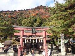 ǂ݂̔颐_Ђւ̓eʐ^1