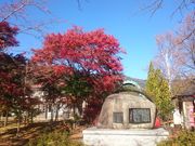 ꂨ񂳂̉͌΁uÉꐭj@̔v̓eʐ^2