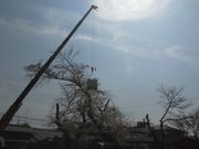 �T�r�L����̙֑ɗ����̓��e�ʐ^2