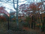 ꂨ񂳂̎R [Ă̏W]̓eʐ^4