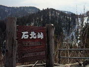 ɂǂ񂳂̐Ζk̓eʐ^1