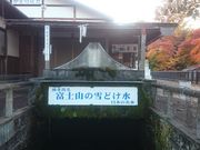 ꂨ񂳂̔X܂̂͂̓eʐ^2