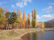 ꂨ񂳂̌Ώ̏_̓eʐ^4