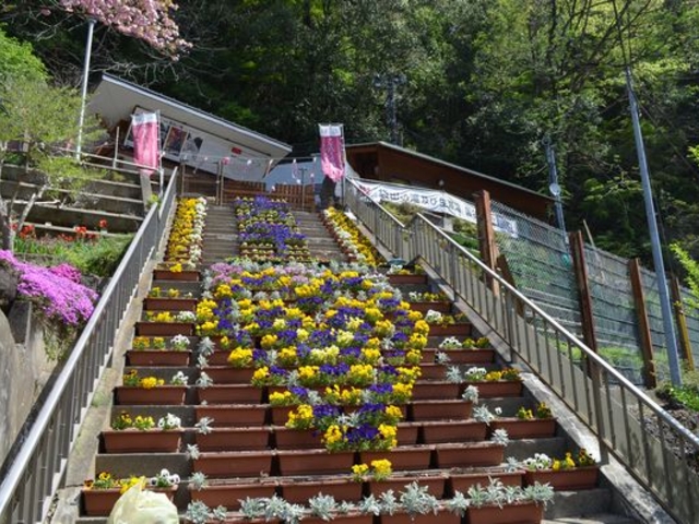 S[fEB[Nɂ킹ĐbĂłAI_ܓc̑